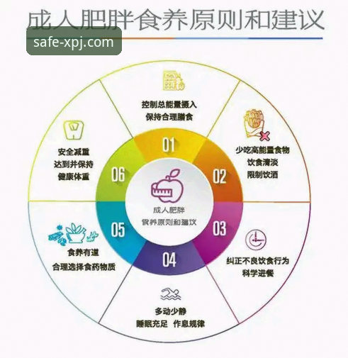 新莆京官方入口最新版 新莆京体育平台2024全面解析:官方入口最新版获取与安全访问指南